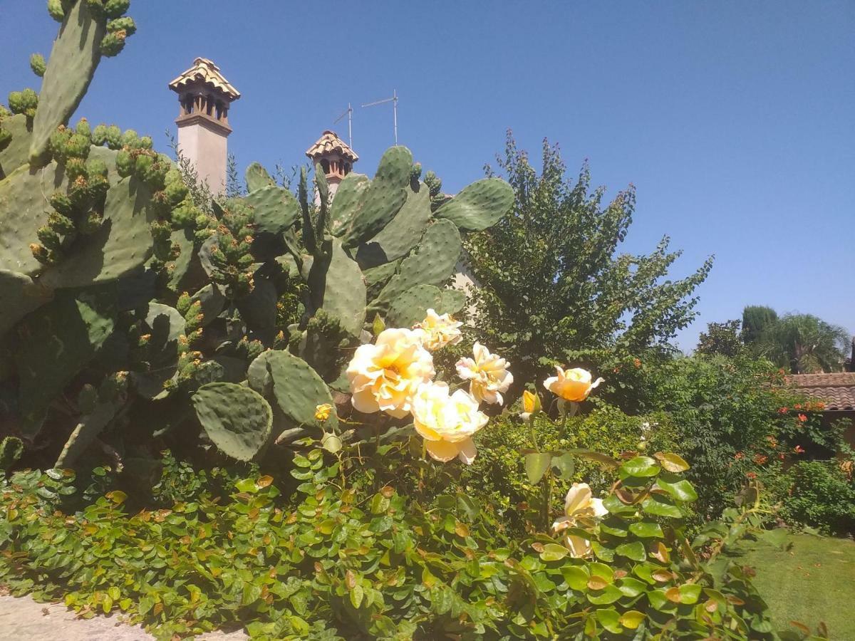 Villa Vittorio Infernetto Kültér fotó